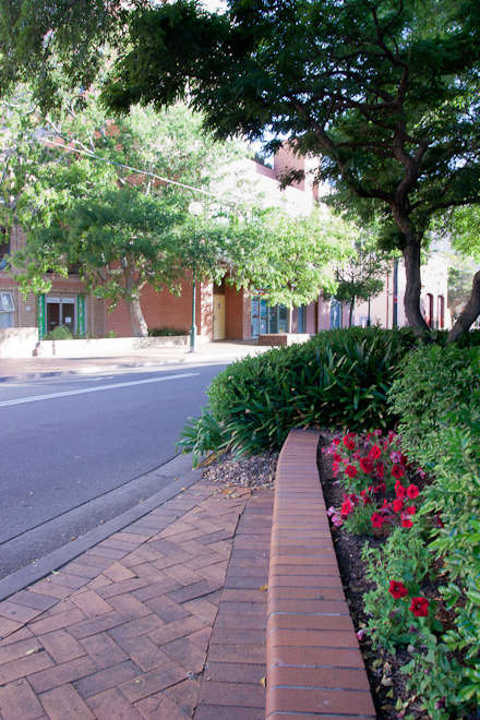 At this point I've left the residential and I am walking into the Hurstville CBD. This is part of old Hurstville town and it has some nice flowers and leafy trees.