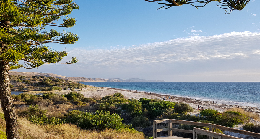 After a nap at the holiday house, a brief trip to Normanville for another walk and some late afternoon sunshine.