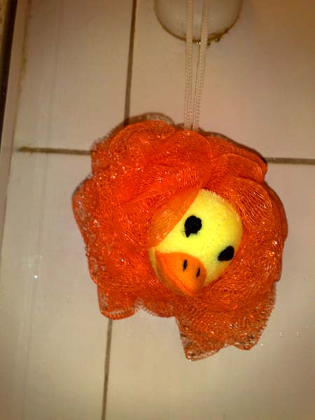 This is the duck I wash myself with in the shower with every day.